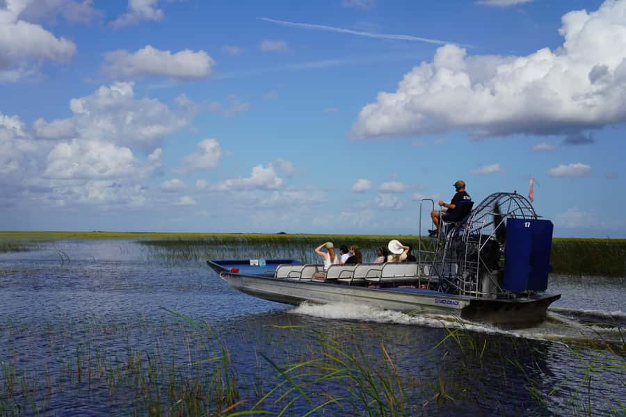 Miami Premium Everglades Driving Tour with Airboat Ride - Wildlife Nature Show + Jungle Trail Walk: Learn What You Just Saw