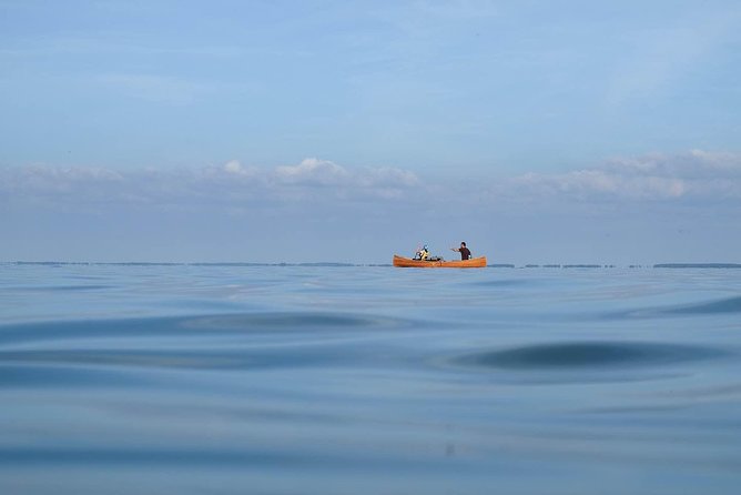 MIGHTY SANDS - Premium guided canoe tour at Curonian spit National Park - The Shore Picnic With a Wet Weim Basket: A Real Break, Not an Afterthought