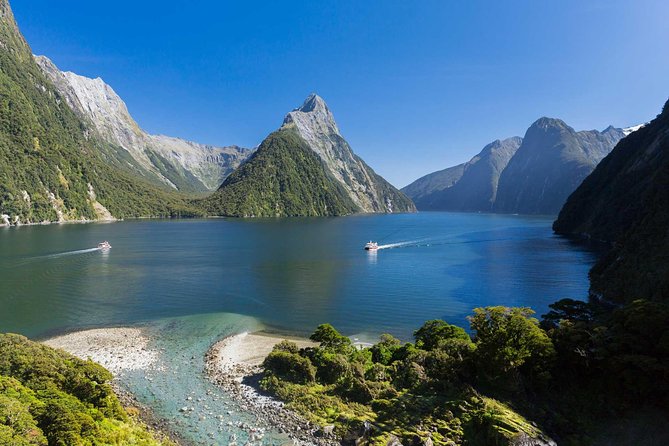 Milford Sound Premium Coach and Cruise with Lunch from Te Anau - Monkey Creek and the chance at kea