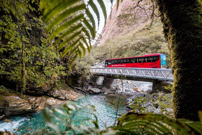 Milford Sound Premium Coach and Cruise with Lunch from Te Anau - Lake Gunn, the tunnel, and the Cleddau River drive