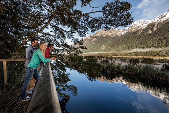 Milford Sound Premium Coach and Cruise with Lunch from Te Anau - Is it worth $183.07? A value check that’s actually useful