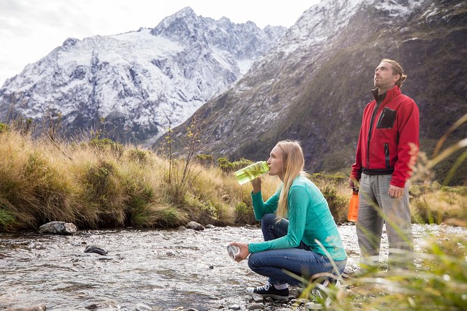 Milford Sound Premium Coach & Cruise from Queenstown with Lunch - Who This Tour Suits Best (and Who Should Rethink)