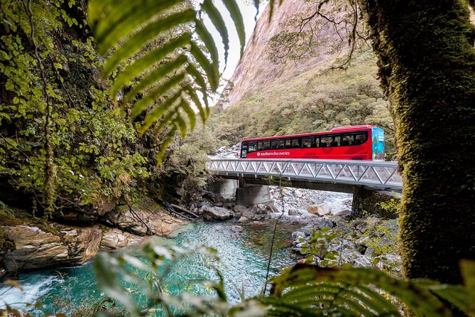 Milford Sound Premium Coach & Cruise from Queenstown with Lunch - Should You Book This Milford Sound Premium Coach and Cruise?
