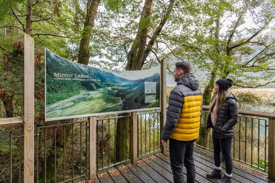 Milford Sound: Premium Small Group Tour from Queenstown - Price and Value: Is $226 Reasonable for Milford Sound?