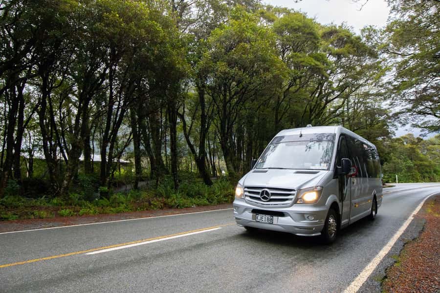 Milford Sound: Premium Small Group Tour from Queenstown - Milford Sound Cruise: Waterfalls, Seals, Dolphins, and the Best Views