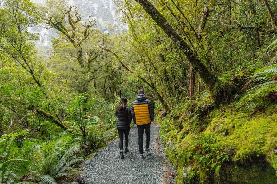 Milford Sound: Premium Small Group Tour from Queenstown - Packed Picnic Lunch: Simple Included Food With One Catch
