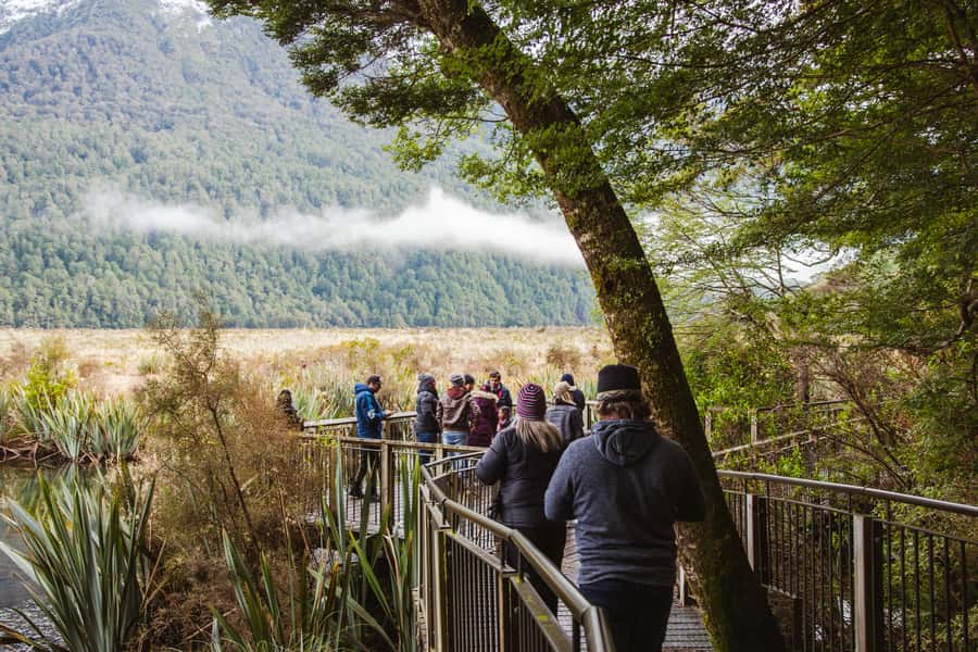 Milford Sound: Premium Small Group Tour from Queenstown - Return to Queenstown: More Scenery, Less Stress