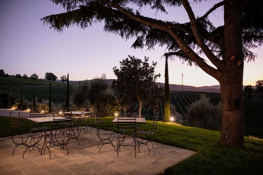 Montalcino: Premium Wine Tasting with light-lunch and Tour - Who will enjoy this tasting most