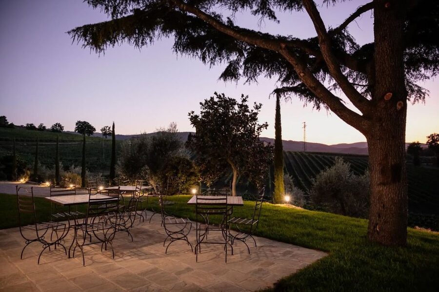Montalcino: Premium Wine Tasting with light-lunch and Tour - Price and value: what $105 buys you (and what to watch)