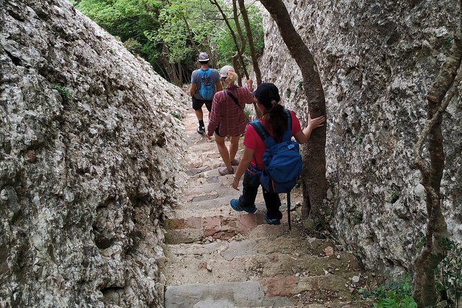 Montserrat Hiking Experience & Monastery Premium Small Group Tour - How the hike pace works for different fitness levels