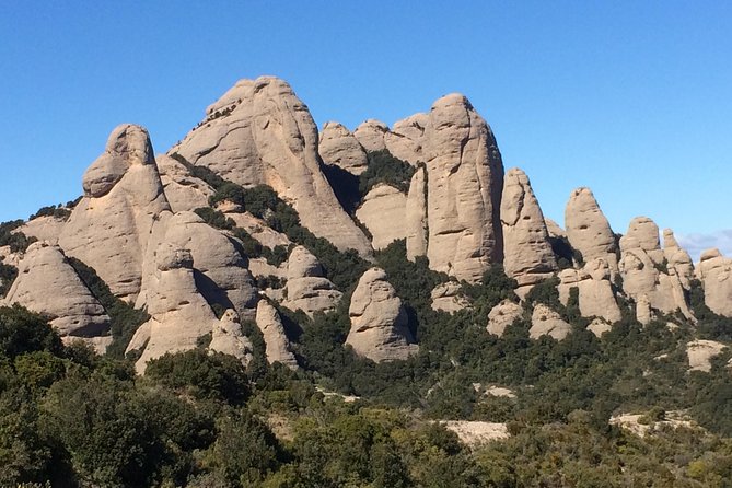 Montserrat Hiking Experience & Monastery Premium Small Group Tour - Free time back at the monastery: farmer’s market and Catalan tasting time
