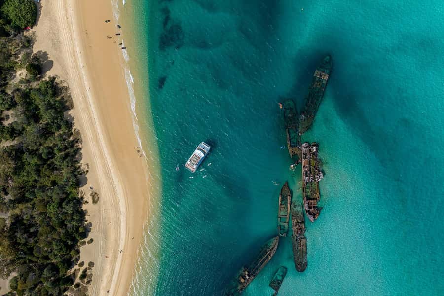 Moreton Island: Dolphin & Tangalooma Wrecks Snorkel Cruise - Snorkelling the Tangalooma Wrecks: what you’ll see and how it’s handled