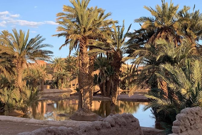 Moroccan Desert 3-Day Luxury Tour from Marrakech - Night 2: a luxury bivouac camp and the Berber-tent experience