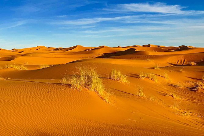 Moroccan Desert 3-Day Luxury Tour from Marrakech - Your guide and driver: why the human factor matters here