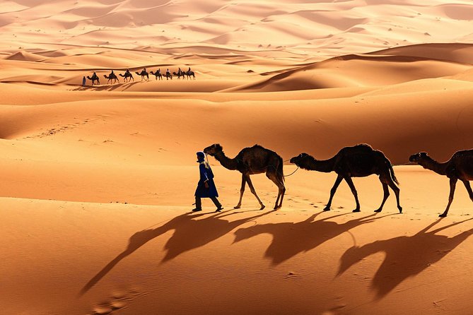 Morocco Top Trips: Luxury 10-Day Private Tour in Morocco - Day 2 Rabat and Chefchaouen: capital views, then blue alley magic