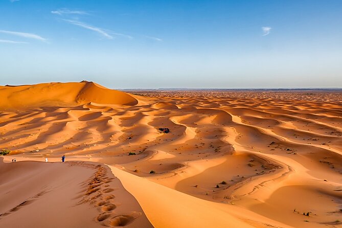 Morocco Top Trips: Luxury 10-Day Private Tour in Morocco - Day 1 Casablanca: Hassan II Mosque and an easy arrival rhythm