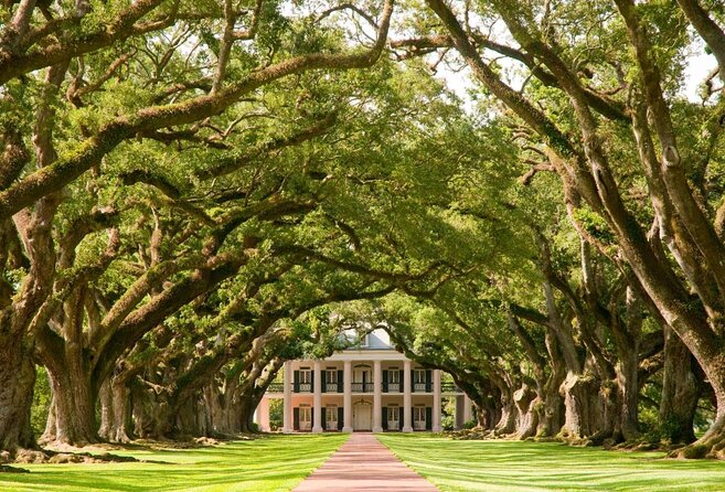N’awlins Luxury: Laura, Oak Alley or Whitney Plantation Tour w/Transportation - Key things I’d circle before you go