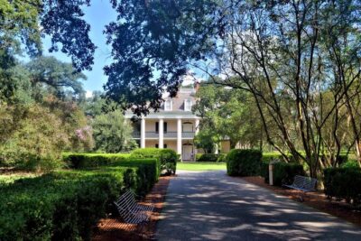 N’awlins Luxury: Laura, Oak Alley or Whitney Plantation Tour w/Transportation - Laura Plantation: Créole heritage, slave cabins, and the Br’er Rabbit link
