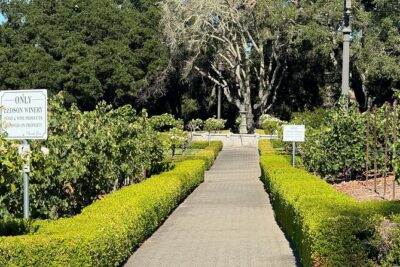 Napa Valley Luxury Wine Tours & Car Services - Touring Napa and Sonoma by Car: Scenic or Direct