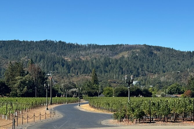 Napa Valley Luxury Wine Tours & Car Services - Who This Tour Fits Best (and Who Might Prefer Another Style)