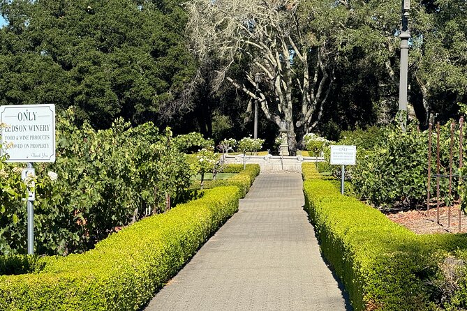 Napa Valley Luxury Wine Tours & Car Services - Touring Napa and Sonoma by Car: Scenic or Direct