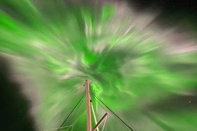 Northern Light Cruise With Luxury Catamaran in Tromso, Norway - Meeting Point at Fredrik Langes gate 2: Show Up Ready