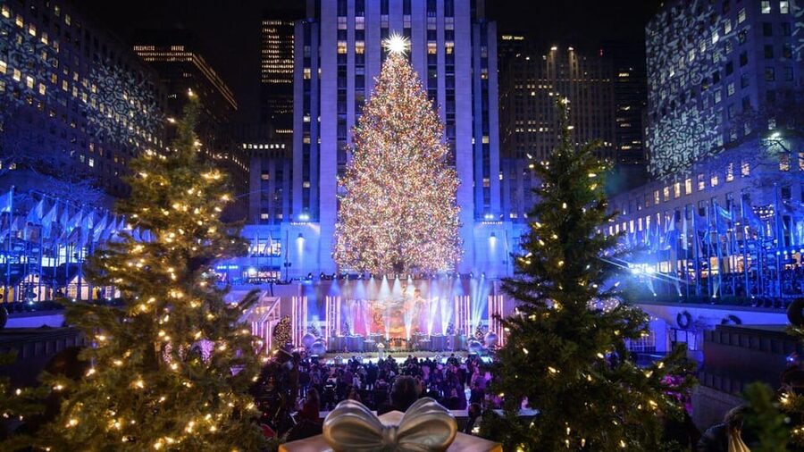 NYC: Dyker Heights and NYC Holiday Lights Luxury Bus Tour - Should You Book This Dyker Heights Holiday Lights Tour?