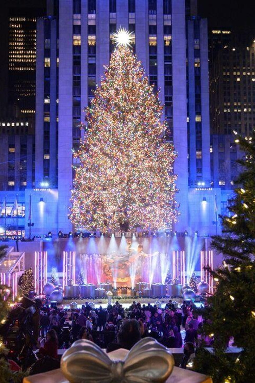 NYC: Dyker Heights and NYC Holiday Lights Luxury Bus Tour - Brooklyn Bridge Park and Lady Liberty: The Skyline Photo You’ll Actually Use