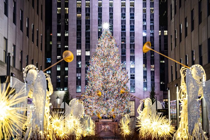 NYC Holiday Lights and Dyker Heights Luxury Bus Tour - Key Things That Make This Tour Worth It