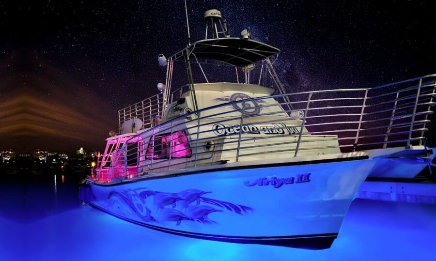 Oahu: Premium Waikiki Sunset Party Cruise with Live DJ - What Happens Before the Sun Even Drops