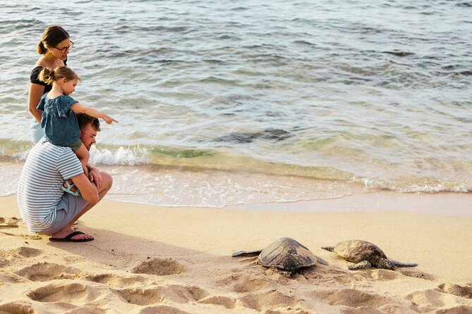 Oahu Ultimate Circle Island: 30 Spots, 10 Epic Stops - Tropical Farms macadamia stop: coffee, tasting, and a goofy skill test