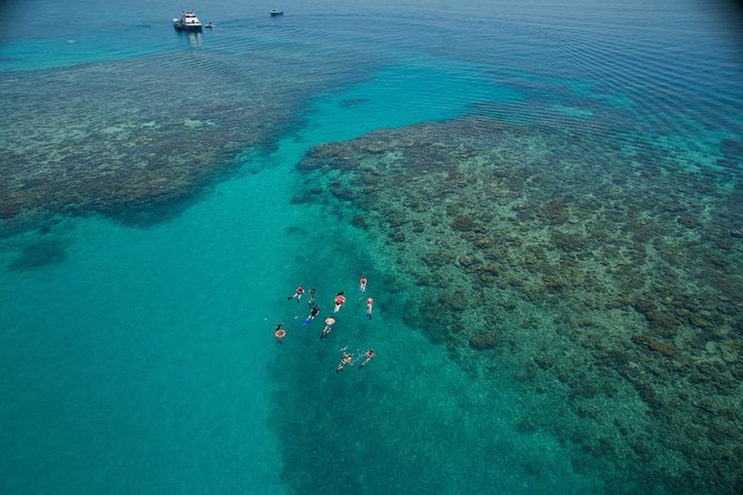Ocean Freedom Great Barrier Reef Luxury Snorkel and Dive Cruise - Quick hits before you go
