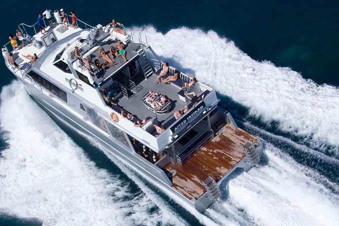 Ocean Freedom Great Barrier Reef Luxury Snorkel and Dive Cruise - Wonder Wall at Upolu Reef: what you’ll do there and why it’s special