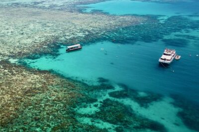 Ocean Freedom Great Barrier Reef Luxury Snorkel and Dive Cruise - Upolu Cay Reef: the sheltered coral garden leg