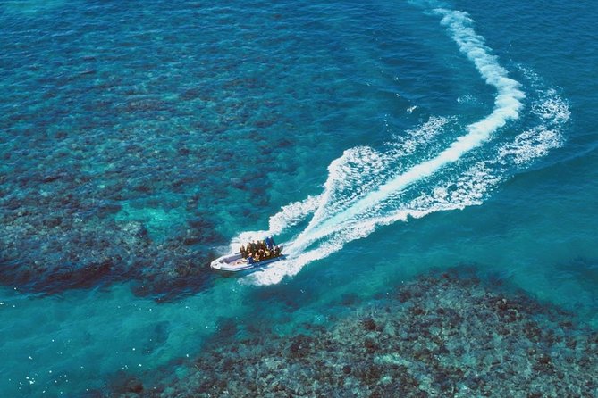 Ocean Freedom Great Barrier Reef Luxury Snorkel and Dive Cruise - Glass-bottom boat: the “Plan B” that feels like a feature