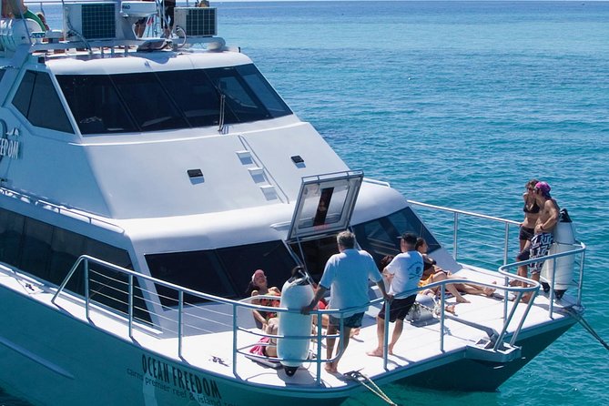 Ocean Freedom Great Barrier Reef Luxury Snorkel and Dive Cruise - The catamaran lunch and snacks: why the food is part of the value