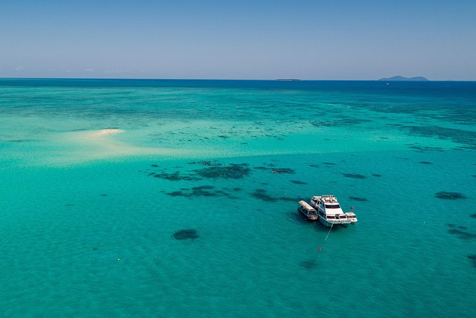 Ocean Freedom Great Barrier Reef Luxury Snorkel and Dive Cruise - Group size, crew attention, and why it feels personal