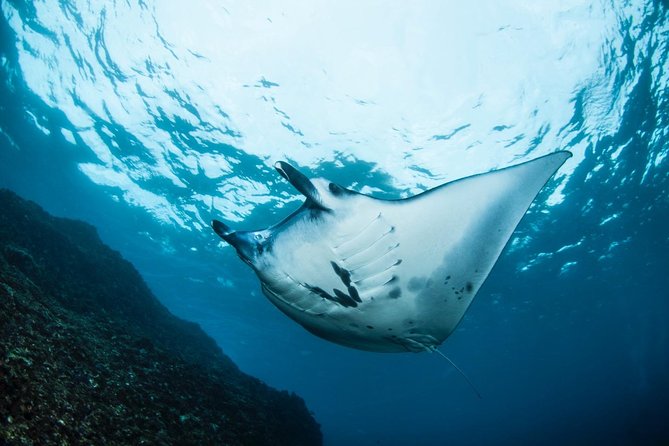 Open Water + Advanced Course - Premium Certifications Package in Nusa Lembongan - Advanced Open Water essentials: Deep and underwater navigation