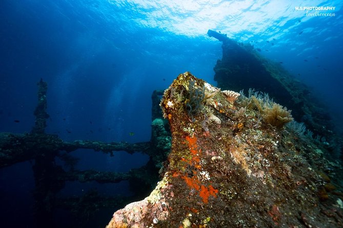Open Water + Advanced Course - Premium Certifications Package in Tulamben - Gear, Facilities, and the Comfort Stuff You’ll Actually Notice