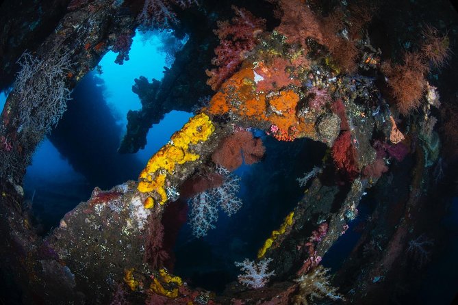 Open Water + Advanced Course - Premium Certifications Package in Tulamben - My Bottom-Line Advice: Should You Book It?