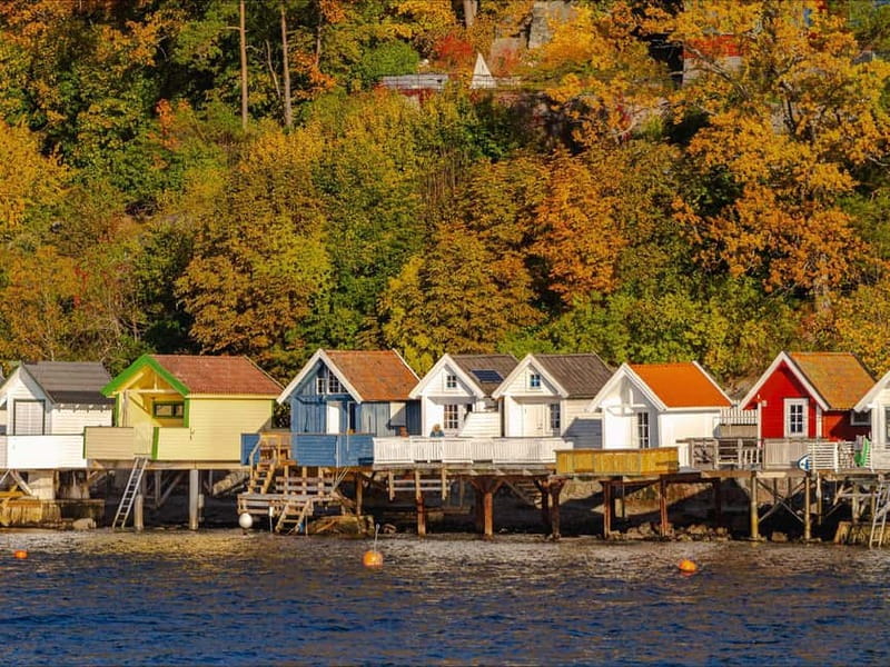 Oslo: Guided Sightseeing Fjord Cruise on Premium Silent Boat - Ms Brisen and the quiet superpower of an electric fjord cruise