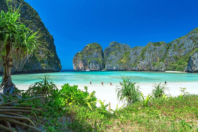 Phi Phi & Bamboo Island Full Day Tour by Premium Speed-Catamaran - Viking Cave: a quick boat-view stop with real context
