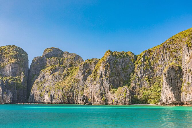 Phi Phi & Bamboo Island Full Day Tour by Premium Speed-Catamaran - Monkey Bay: brief, scenic, and very about the animals