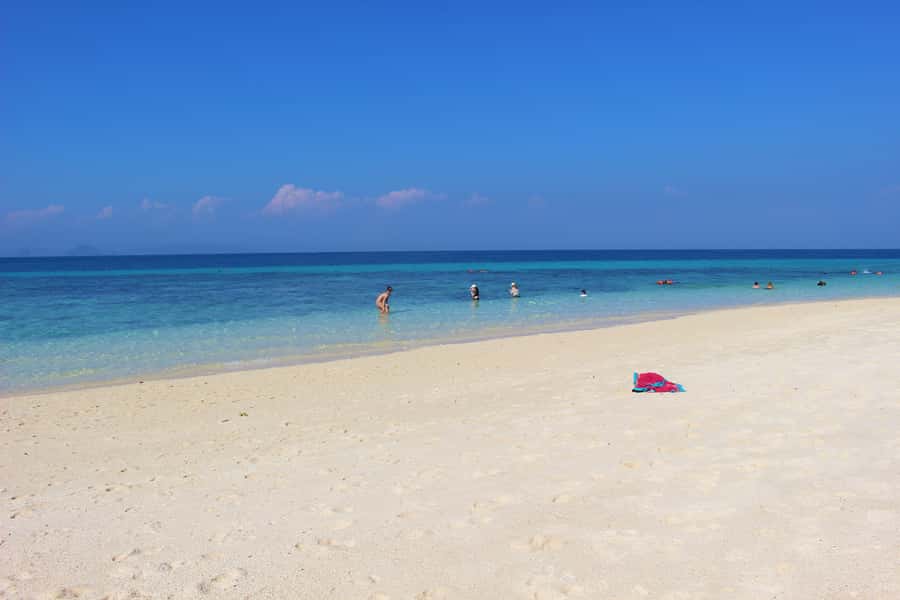 Phi Phi & Bamboo Islands: Premium Day Trip w/ Seaview Lunch - Speedboat Between Islands: Fast Views, Real Sea Conditions