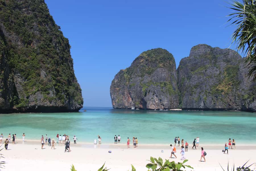 Phi Phi & Bamboo Islands: Premium Day Trip w/ Seaview Lunch - Yong Kasem, aka Monkey Beach: A Quick Stop for Photos and Wildlife