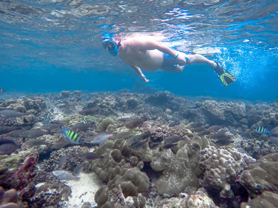 Phi Phi & Bamboo Islands: Premium Day Trip w/ Seaview Lunch - Morning Pickup in Phuket: The Schedule Is Clear, But Watch the Email