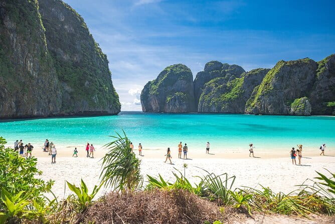 Phi Phi Islands and Khai Island by Premium Speed Catamaran - Monkey Bay: quick, scenic, and very real wildlife energy