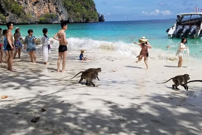 Phi Phi Islands Private Luxury Tour - Who This Private Luxury Phi Phi Tour Suits Best
