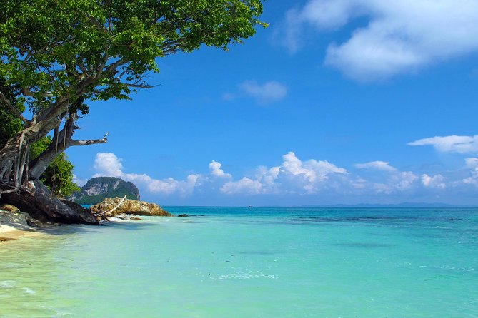 Phi Phi & Maya Bay Speedboat: All-Day Food & Choice of 3 Marinas - Should You Book This Phi Phi Speedboat Tour?