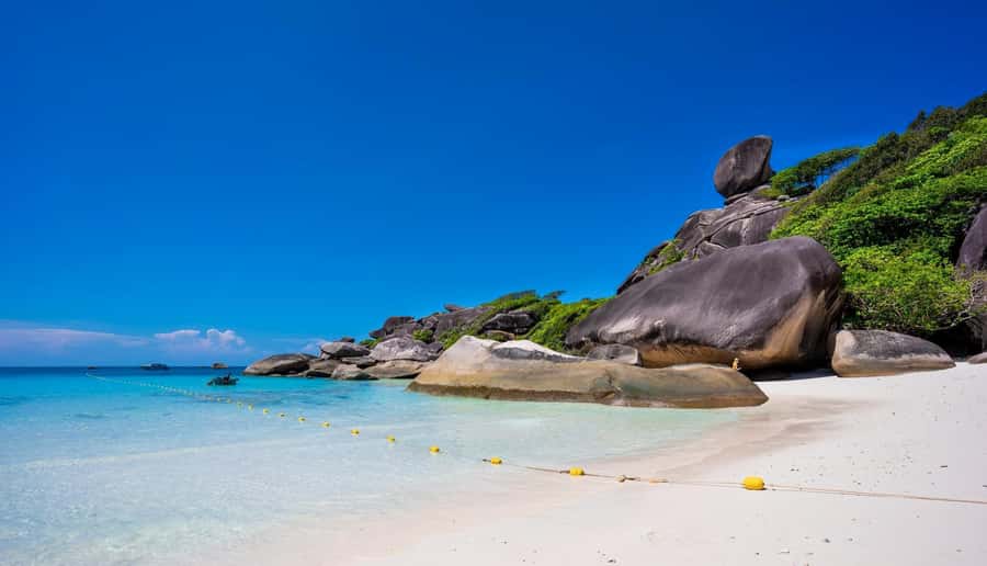 Phuket/Khaolak: Similan Islands Speed Catamaran Premium Trip - Box lunch and beach downtime: where the day slows down
